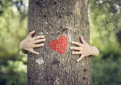 Zakończono realizację cyklu 10 warsztatów pt. ,,Czy szczęścia można nauczyć się od drzew? Na podstawie książki ,,Sekretne życie drzew” Petera Wohllebena”