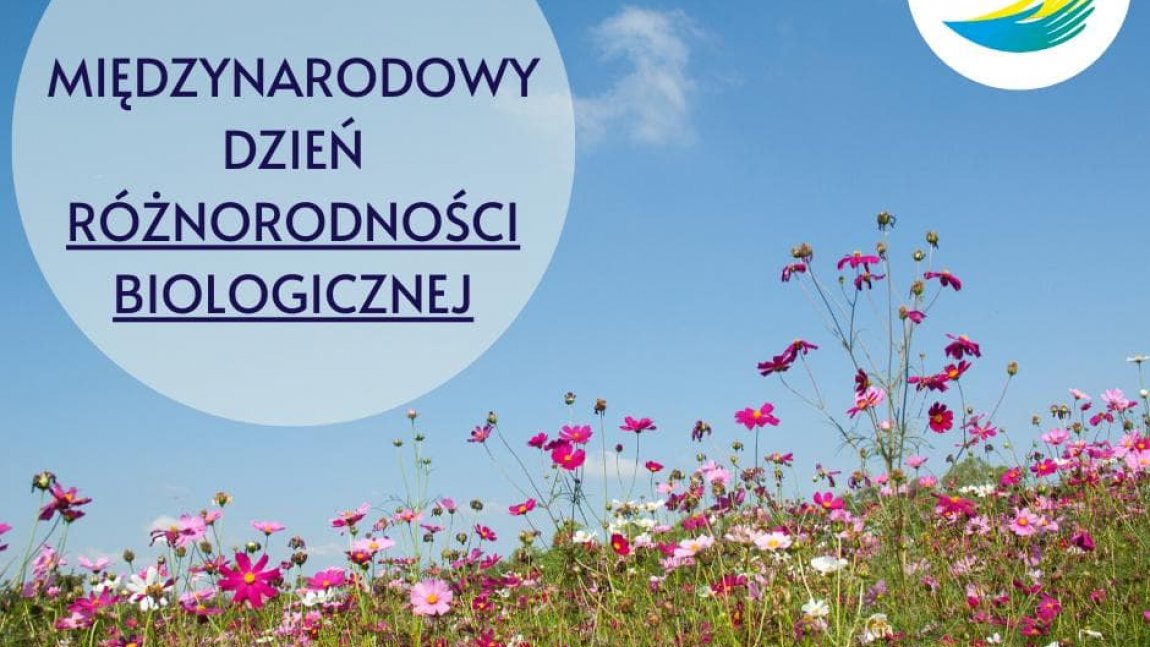 MIĘDZYNARODOWY DZIEŃ RÓŻNORODNOŚCI BIOLOGICZNEJ